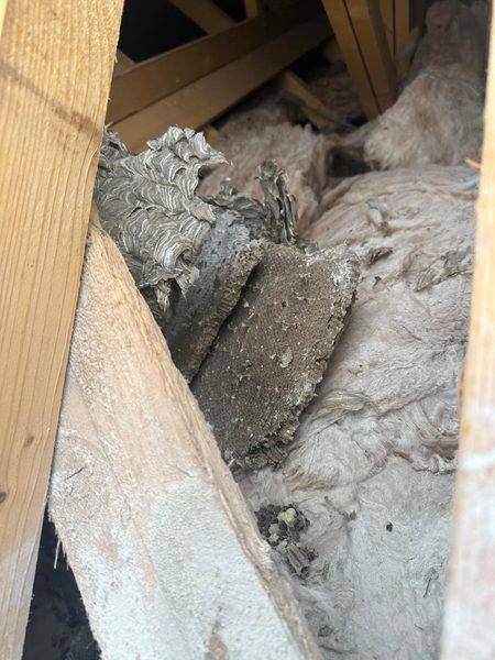 Grey papery comb packed between the rafters and into the insulation